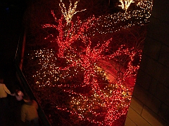 018 Toledo Zoo Light Show [2008 Dec 27]